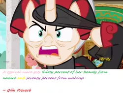 Size: 1600x1212 | Tagged: safe, artist:meiyeezhu, derpibooru import, screencap, sable spirit, pony, campfire tales, discovery family logo, image macro, meme, proverb, wisdom