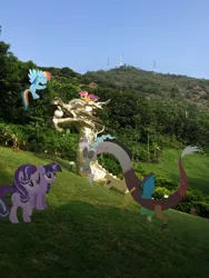 Size: 2448x3264 | Tagged: safe, artist:eflyjason, derpibooru import, discord, rainbow dash, scootaloo, starlight glimmer, twilight sparkle, draconequus, pony, china, chinese dragon, female, irl, mare, photo, ponies in real life, shenzhen