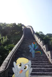 Size: 3648x5472 | Tagged: safe, artist:eflyjason, derpibooru import, applejack, derpy hooves, rainbow dash, pony, beijing, china, great wall of china, irl, photo, ponies in real life