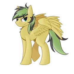 Size: 960x960 | Tagged: safe, artist:wulfanite, derpibooru import, oc, oc:ailan, unofficial characters only, pegasus, pony, 2019 community collab, derpibooru community collaboration, male, simple background, solo, transparent background, wings
