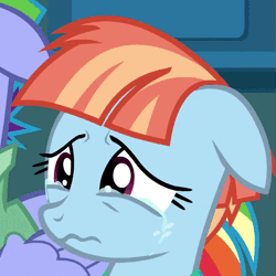 Size: 645x645 | Tagged: safe, derpibooru import, edit, edited screencap, screencap, bow hothoof, windy whistles, pegasus, pony, parental glideance, animated, cropped, crying, cute, eye shimmer, female, floppy ears, gif, heartbreak, loop, male, mare, rainbow dash's parents, reaction image, sad, sadorable, solo focus, stallion, wavy mouth, windybetes