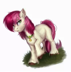 Size: 1980x2000 | Tagged: safe, artist:foaren, derpibooru import, roseluck, earth pony, pony, chest fluff, collar, crying, digital art, ear fluff, female, fluffy, grass, hoof fluff, leg fluff, looking at you, mare, missing cutie mark, one hoof raised, pet tag, pony pet, raised hoof, rosepet, sad, simple background, solo, standing, unshorn fetlocks, white background