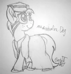 Size: 1827x1907 | Tagged: safe, artist:binkyt11, derpibooru import, oc, oc:binky, unofficial characters only, earth pony, zebra, atg 2017, freckles, graduation, image, monochrome, newbie artist training grounds, png, solo, traditional art, unshorn fetlocks