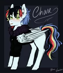 Size: 2735x3200 | Tagged: safe, artist:yumeyuuheii, derpibooru import, oc, oc:blast chaser, unofficial characters only, pegasus, pony, clothes, colt, high res, male, offspring, parent:rainbow dash, parent:soarin', parents:soarindash, solo