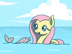 Size: 1800x1350 | Tagged: safe, artist:flutterluv, derpibooru import, fluttershy, dolphin, pony, cute, female, hilarious in hindsight, mare, shyabetes, smiling, swimming, water