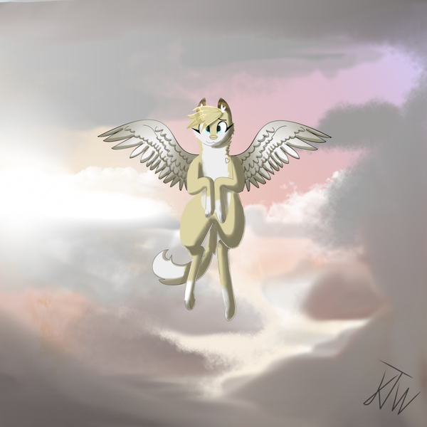 Size: 900x900 | Tagged: safe, artist:katiethewolfie, artist:katiethewolfy, derpibooru import, oc, oc:katiethewolfy, unofficial characters only, pony, wolf, background:sky, cloud, masterpeice, solo