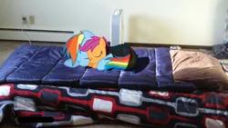 Size: 1024x576 | Tagged: safe, artist:goldenponyz, derpibooru import, rainbow dash, scootaloo, pony, bed, fan, irl, photo, ponies in real life, scootalove, shadow, sleeping, vector