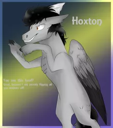 Size: 2832x3209 | Tagged: artist:neonaarts, derpibooru import, oc, oc:hoxton, safe, text, unofficial characters only