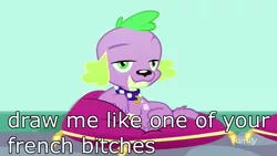 Size: 1920x1080 | Tagged: safe, derpibooru import, edit, edited screencap, screencap, spike, spike the regular dog, dog, eqg summertime shorts, equestria girls, pet project, discovery family logo, draw me like one of your french girls, image macro, looking at you, meme, pillow, stupid sexy spike, titanic, vulgar