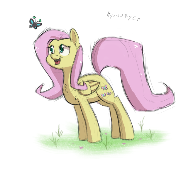 Size: 1700x1700 | Tagged: safe, artist:hypno, derpibooru import, fluttershy, butterfly, pony, colored sketch, cute, folded wings, looking at something, shyabetes, signature, simple background