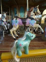 Size: 3456x4608 | Tagged: safe, artist:travelling-my-little-pony, derpibooru import, minty, pony, carousel, fairground ride, g3, irl, photo, toy, watching