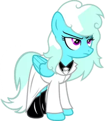 Size: 1280x1456 | Tagged: safe, artist:fletcherthehuntress, derpibooru import, oc, oc:cloudburst, unofficial characters only, pegasus, pony, clothes, female, mare, simple background, solo, transparent background