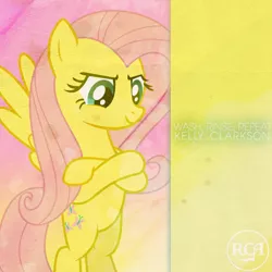 Size: 800x800 | Tagged: safe, artist:hornflakes, artist:penguinsn1fan, derpibooru import, fluttershy, pony, cover, kelly clarkson, parody, solo