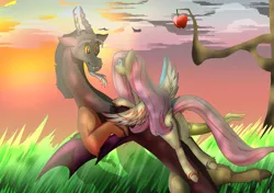 Size: 1024x720 | Tagged: safe, artist:lettelauren, deleted from derpibooru, derpibooru import, discord, fluttershy, draconequus, pegasus, pony, apple, discoshy, female, food, grass, male, outdoors, shipping, straight, sunset, sweet apple acres, tree