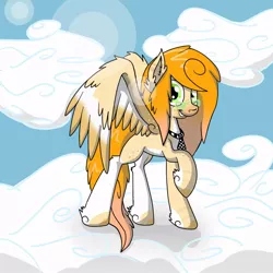 Size: 894x894 | Tagged: safe, artist:nat998877, derpibooru import, oc, oc:alani, unofficial characters only, pegasus, pony, cloud, glasses, necktie, sky