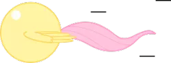 Size: 283x105 | Tagged: safe, artist:mega-poneo, derpibooru import, fluttershy, pegasus, pony, ball, crossover, female, flutterball, mare, motion lines, rolling, simple background, solo, sonic the hedgehog (series), spin dash, spread wings, transparent background, wings