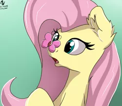 Size: 2538x2200 | Tagged: safe, artist:php80, derpibooru import, fluttershy, butterfly, pegasus, pony, 30 minute art challenge, cross-eyed, cute, ear fluff, eyes on the prize, female, green background, insect on nose, mare, open mouth, shyabetes, simple background, solo
