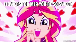 Size: 600x337 | Tagged: safe, derpibooru import, edit, edited screencap, screencap, sunset shimmer, eqg summertime shorts, equestria girls, pet project, bronybait, image macro, meme, shimmering the gecko