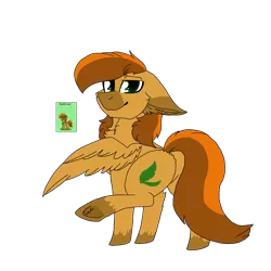 Size: 2560x2560 | Tagged: safe, artist:brokensilence, derpibooru import, oc, oc:sunlit leaf, unofficial characters only, pegasus, pony, pony town, chest fluff, ear fluff, freckles, male, plot, raised hoof, rear view, simple background, stallion, transparent background, unshorn fetlocks