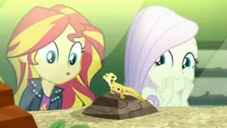 Size: 1366x768 | Tagged: safe, derpibooru import, screencap, fluttershy, ray, sunset shimmer, leopard gecko, lizard, eqg summertime shorts, equestria girls, pet project, giggling, happy, i see what you did there, ooh, terrarium