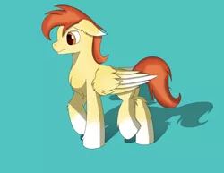 Size: 3300x2550 | Tagged: safe, artist:lunar froxy, derpibooru import, oc, oc:render point, unofficial characters only, pegasus, pony, male, shadow, simple background, solo, stallion
