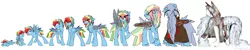 Size: 7500x1500 | Tagged: safe, artist:chub-wub, derpibooru import, rainbow dash, pony, age progression, artificial wings, augmented, baby, baby pony, beard, clothes, colt, elderly, facial hair, gray mane, icicles on beard, impossibly large beard, male, mechanical wing, older, rainbow blitz, robe, rule 63, scar, snow, teenager, wings, younger