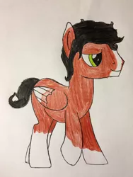 Size: 2448x3264 | Tagged: safe, artist:primevalbrony, artist:primevalfan666, derpibooru import, oc, oc:caliente azucar-miel, unofficial characters only, pegasus, pony, folded wings, male, socks (coat marking), solo, stallion, traditional art