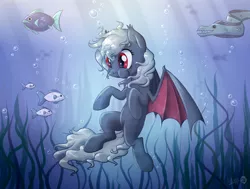 Size: 1800x1363 | Tagged: safe, artist:sirzi, derpibooru import, oc, oc:dusty fang, unofficial characters only, bat pony, eel, fish, pony, bat pony oc, bubble, female, mare, seaweed, solo, underwater, water
