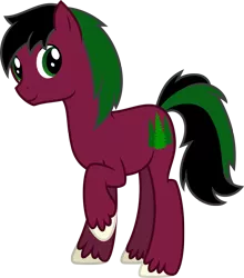 Size: 1000x1137 | Tagged: safe, artist:ambassad0r, derpibooru import, oc, oc:red cedar, unofficial characters only, earth pony, pony, 2018 community collab, derpibooru community collaboration, green eyes, green hair, green mane, male, simple background, solo, stallion, transparent background, vector