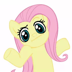 Size: 442x442 | Tagged: safe, derpibooru import, fluttershy, female, looking at you, shrug, shrugpony, solo