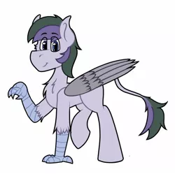 Size: 1460x1455 | Tagged: safe, artist:koonzypony, derpibooru import, oc, oc:vintage collection, unofficial characters only, hippogriff, leonine tail, standing, talons