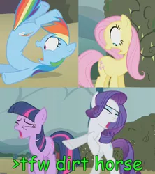 Size: 1267x1424 | Tagged: safe, derpibooru import, edit, edited screencap, screencap, fluttershy, rainbow dash, rarity, twilight sparkle, pegasus, pony, unicorn, the return of harmony, caption, dirt horse, female, greentext, image macro, mare, missing horn, mouthpiece, mud pony, out of character, racism, rearing, text, tfw, unicorn master race, wingless