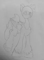 Size: 946x1280 | Tagged: safe, artist:andandampersand, derpibooru import, oc, oc:cassaan, unofficial characters only, pegasus, pony, chest fluff, fluffy, monochrome, style emulation, traditional art, unshorn fetlocks, wip