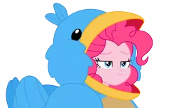 Size: 7478x4624 | Tagged: safe, artist:dnastudiobrony, derpibooru import, pinkie pie, eqg summertime shorts, equestria girls, the art of friendship, absurd resolution, animal costume, bird costume, clothes, costume, pinkie birdie, simple background, solo, transparent background, vector