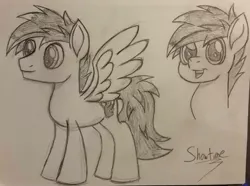 Size: 2048x1526 | Tagged: safe, artist:showtimeandcoal, derpibooru import, oc, oc:kami, unofficial characters only, pegasus, pony, black and white, bust, colt, grayscale, male, monochrome, movie accurate, pencil, pencil drawing, portrait, request, sketch, solo, stallion, style, traditional art