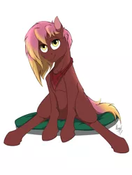 Size: 775x1024 | Tagged: safe, artist:nordhoof, derpibooru import, oc, unofficial characters only, earth pony, pony, blank flank, clothes, female, scarf, solo