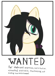 Size: 576x792 | Tagged: safe, artist:scraggleman, derpibooru import, oc, oc:floor bored, unofficial characters only, earth pony, pony, /mlp/, 4chan, breaking the law, female, indifferent, mare, ponytail, solo, wanted poster