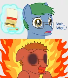 Size: 850x964 | Tagged: semi-grimdark, artist:phallen1, derpibooru import, oc, oc:software patch, unofficial characters only, earth pony, pony, comic, fire, glasses, male, match, matches, oc abuse, on fire, pun, screaming