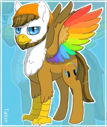 Size: 821x973 | Tagged: artist:anonymous-potayto, beard, classical hippogriff, colored wings, derpibooru import, facial hair, hippogriff, interspecies offspring, magical lesbian spawn, male, multicolored wings, oc, oc:talon, offspring, parent:gilda, parent:rainbow dash, parents:gildash, safe, solo, unofficial characters only