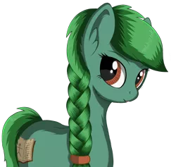 Size: 1567x1486 | Tagged: safe, artist:negasun, derpibooru import, oc, oc:lonely day, unofficial characters only, earth pony, pony, ponies after people, braid, female, green fur, green hair, green mane, solo
