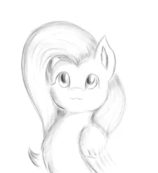 Size: 2121x2324 | Tagged: safe, artist:qbellas, derpibooru import, fluttershy, pegasus, pony, bust, female, mare, monochrome, solo