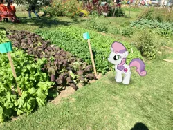 Size: 4032x3024 | Tagged: augmented reality, derpibooru import, food, gameloft, irl, lettuce, photo, ponies in real life, safe, smiling, solo, sweetie belle