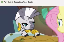 Size: 1920x1270 | Tagged: safe, derpibooru import, edit, edited screencap, screencap, fluttershy, zecora, pegasus, pony, zebra, a health of information, bed, discovery family logo, female, implied death, leaves, mare, meme, ponified meme, sick, wikihow, zecora's hut