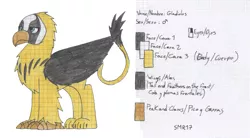 Size: 1783x985 | Tagged: safe, artist:summerium, derpibooru import, oc, oc:gladiolus, unofficial characters only, gryphon, lined paper, reference sheet, solo, traditional art