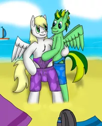 Size: 3931x4838 | Tagged: suggestive, artist:tacomytaco, derpibooru import, oc, oc:taco.m.tacoson, unofficial characters only, pegasus, pony, beach, belly button, bipedal, chest fluff, clothes, double wedgie, frontal wedgie, gay, male, males only, shorts, speedo, spread wings, towel, wedgie, wingboner, wings
