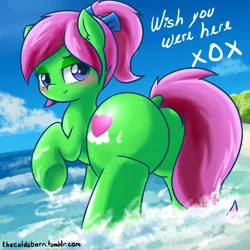 Size: 1280x1280 | Tagged: suggestive, artist:thecoldsbarn, derpibooru import, oc, oc:zippy sparkz, unofficial characters only, pony, beach, dock, explicit source, female, looking at you, looking back, looking back at you, mare, nudity, plot, raised hoof, smiling, solo, solo female, water