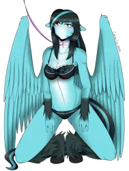 Size: 3777x4985 | Tagged: suggestive, artist:cannoncar, derpibooru import, oc, unofficial characters only, anthro, pegasus, unguligrade anthro, anthro oc, blushing, bra, breasts, clothes, collar, female, femsub, floppy ears, kneeling, leash, mare, simple background, smiling, solo, solo female, submissive, transparent background, underwear, unshorn fetlocks
