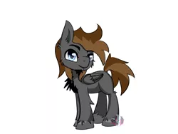 Size: 1400x1050 | Tagged: safe, artist:diamondsparkle7, derpibooru import, oc, oc:skylar, unofficial characters only, pegasus, pony, simple background, solo, white background