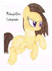 Size: 1700x2338 | Tagged: safe, artist:artofmagicpoland, derpibooru import, oc, oc:midnightflare cakepowder, unofficial characters only, earth pony, pony, solo, traditional art