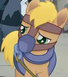 Size: 261x296 | Tagged: safe, derpibooru import, screencap, unnamed character, unnamed pony, earth pony, pony, my little pony: the movie, background pony, collar, cropped, gag, harness, male, mask, muzzle, muzzle gag, sad, spoiler, stallion, tack, yoke